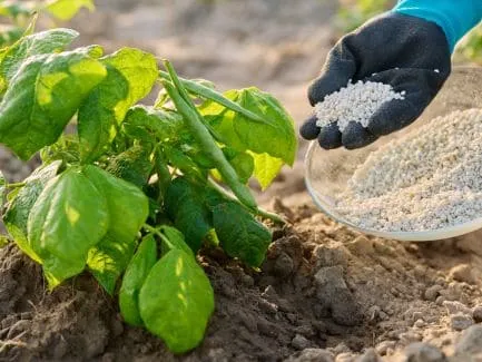 Fertilizers